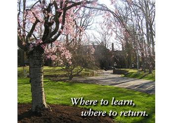 blooming tree on campus with 'where to learn, where to return.'