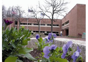 building with bare tree and blooming flowers