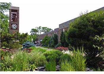 clock tower with landscaping at college campus