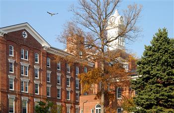 brick building with clock tower and flying bird