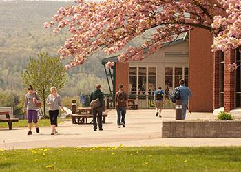 campus center with blooming tree