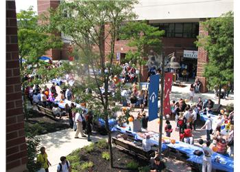 outdoor event with people and stalls