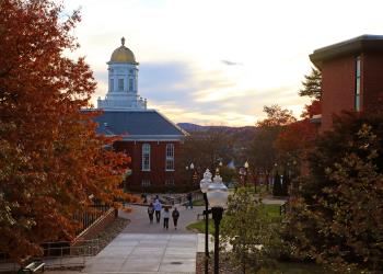 pathway leading to building with golden dome