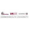 logo: Commonwealth U logo